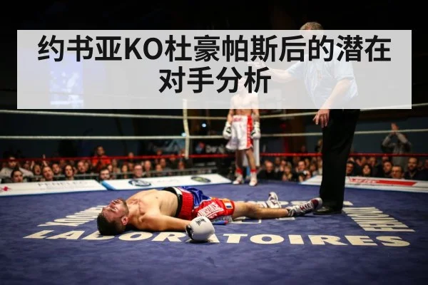 boxing knockout